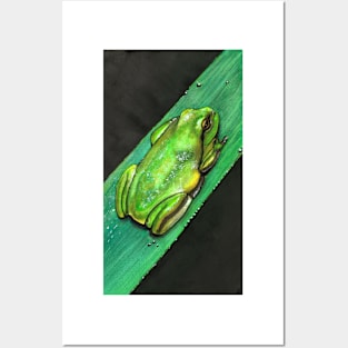 Treefrog Posters and Art